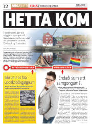 Síða 12