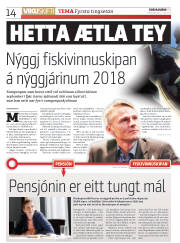 Síða 14