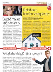 Síða 17