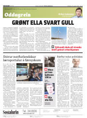Síða 2