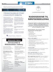 Síða 22