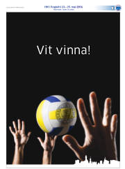 Síða 37