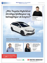 Síða 52