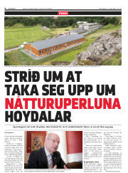 Síða 4