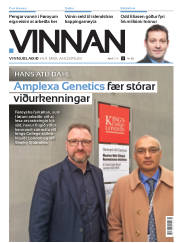 Síða 25