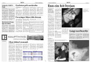 Síða 5