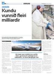 Síða 30