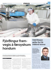 Síða 31