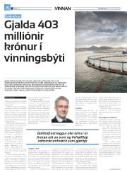 Síða 32