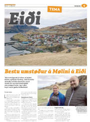 Síða 53