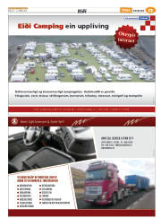 Síða 61