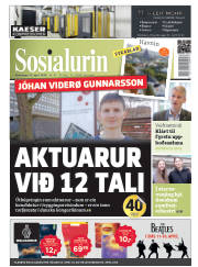 Síða 1