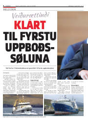 Síða 8