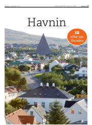 Síða 15