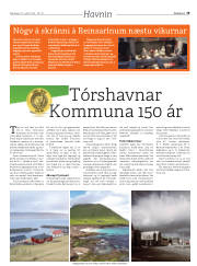 Síða 19