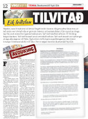 Síða 12