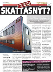 Síða 13