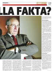 Síða 17