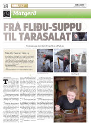 Síða 18