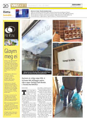 Síða 20