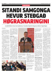 Síða 6