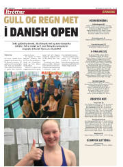 Síða 14