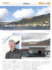 Síða 35