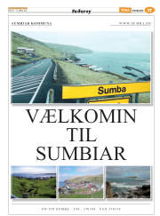 Síða 41