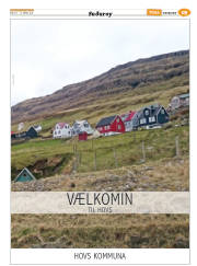 Síða 43