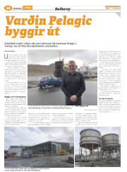 Síða 52