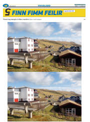 Síða 60