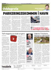 Síða 2