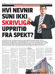 Síða 12