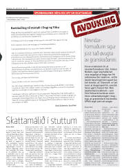 Síða 13