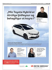 Síða 15