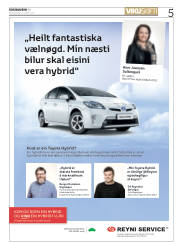 Síða 5