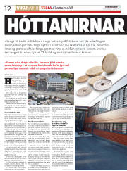 Síða 12