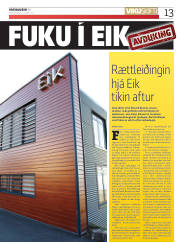 Síða 13