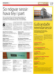 Síða 17