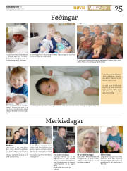 Síða 25