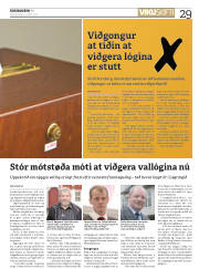 Síða 29