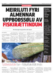 Síða 6