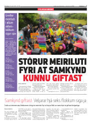 Síða 7