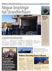 Síða 12