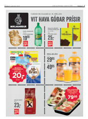 Síða 3