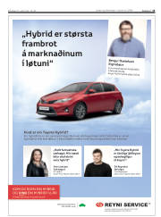 Síða 13