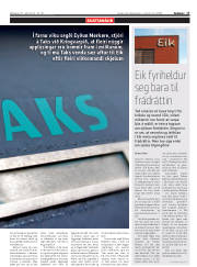 Síða 17