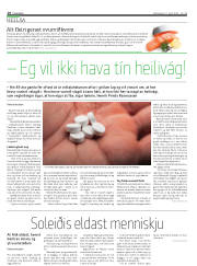 Síða 18
