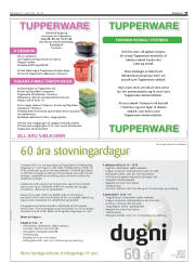 Síða 19