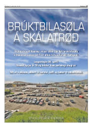 Síða 29